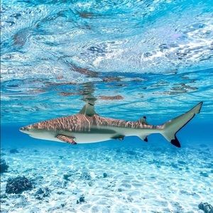 BUNDLE 3 ITEMS FOR $28!